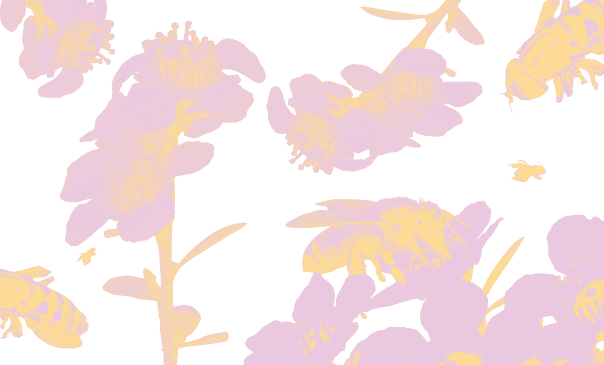 The Honey Chronicles