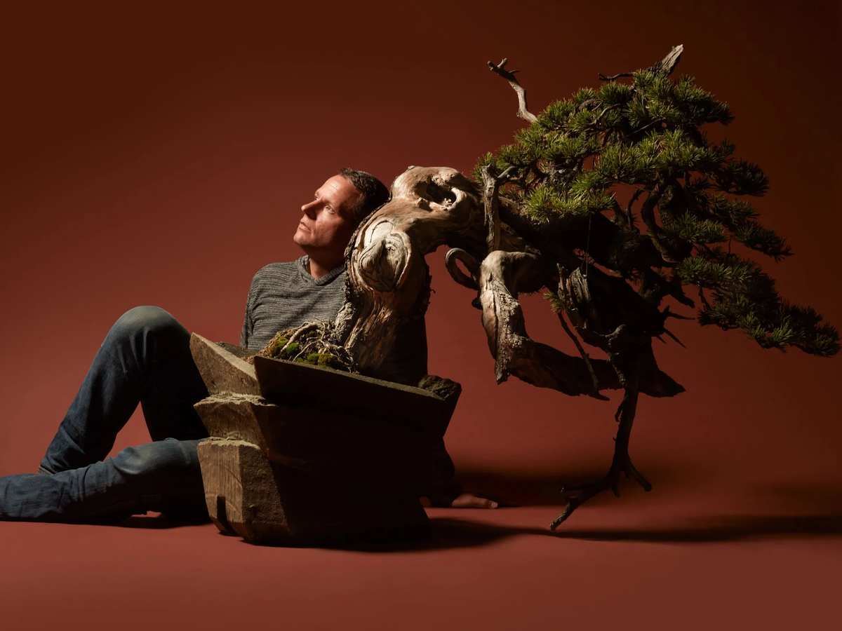 The Best Potato Chip