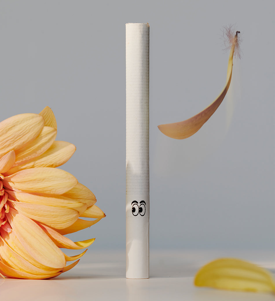 Sativa Cigs
