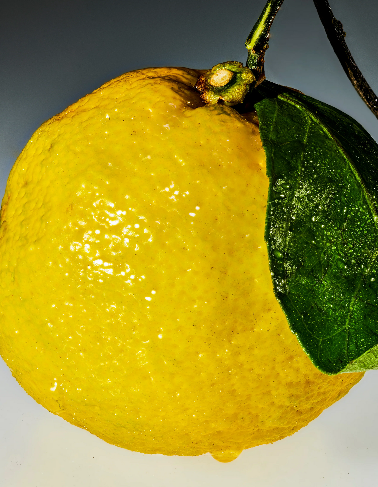 Sour Yuzu Mochi - 5mg THC
